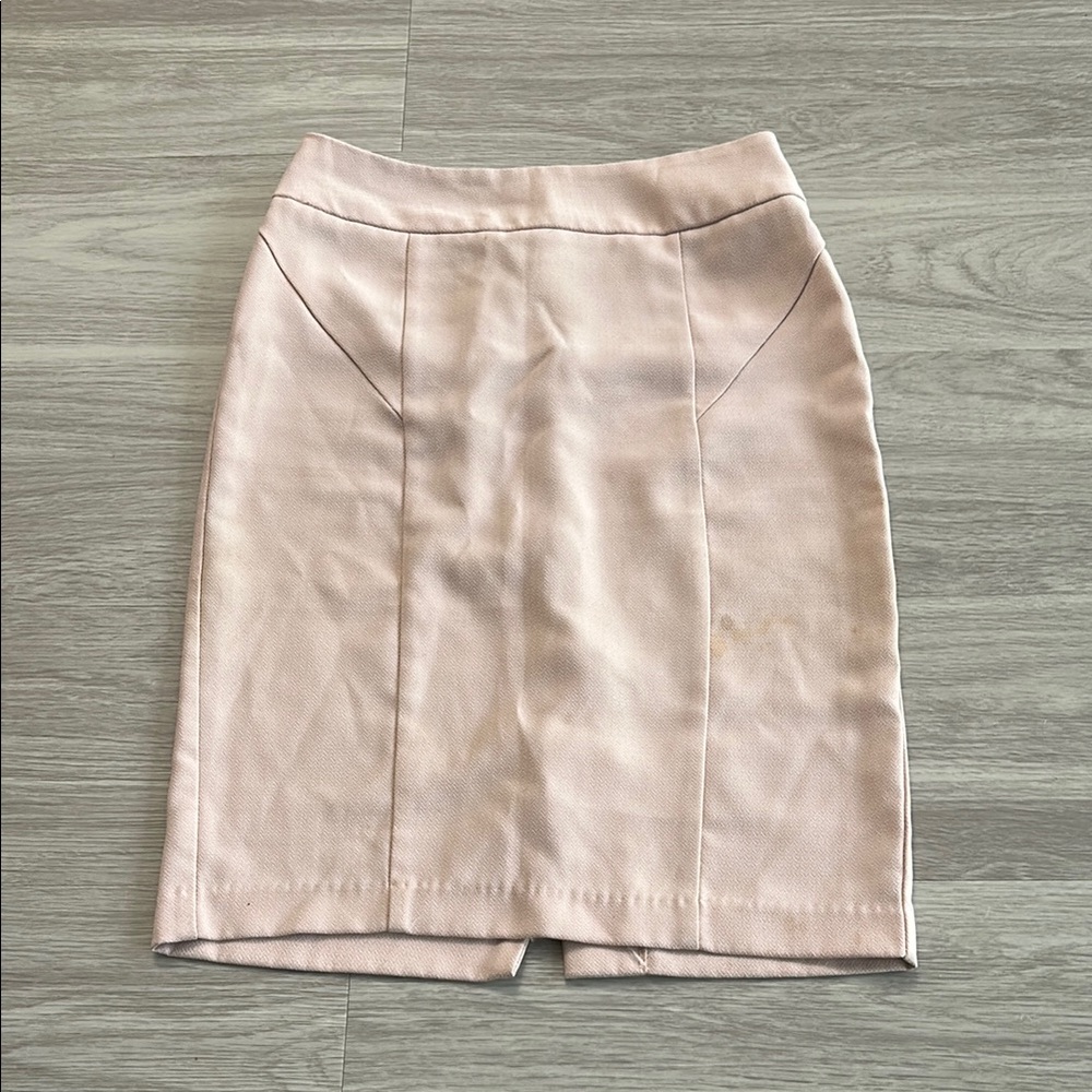 Elegant Pink Skirt